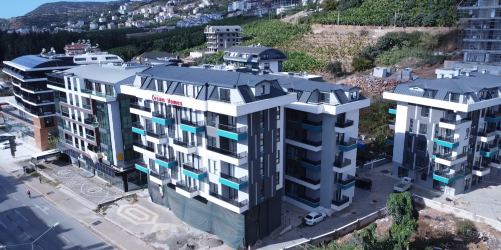 DJI_0412